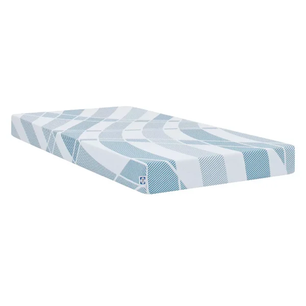 6" Foam Mattress