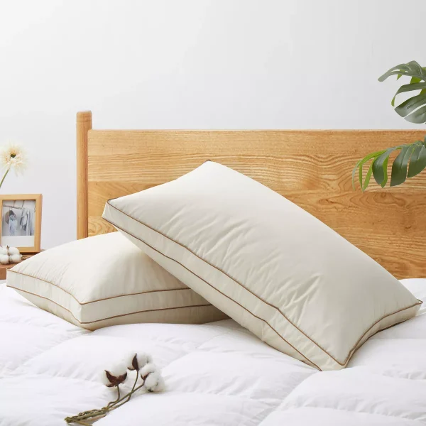 2 Pack 100% Organic Cotton Gusseted Down Feather Bed Pillows, Pillow-in-a-pillow Design